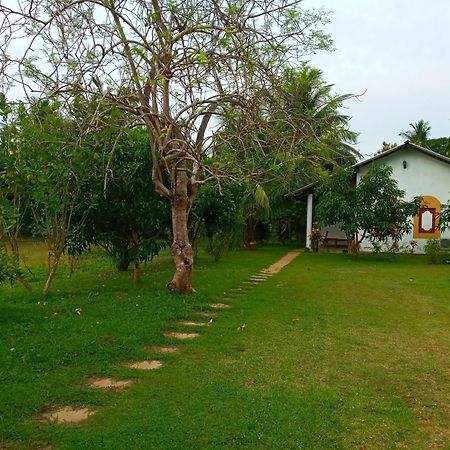 Hideaway Homestay Habarana Exteriér fotografie