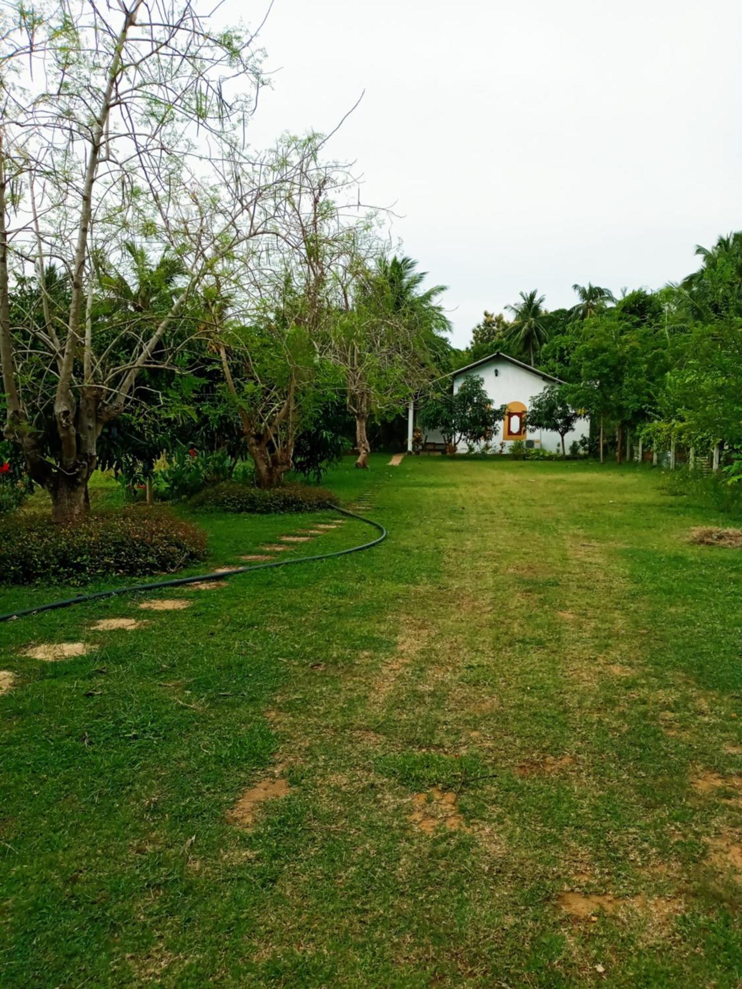 Hideaway Homestay Habarana Exteriér fotografie