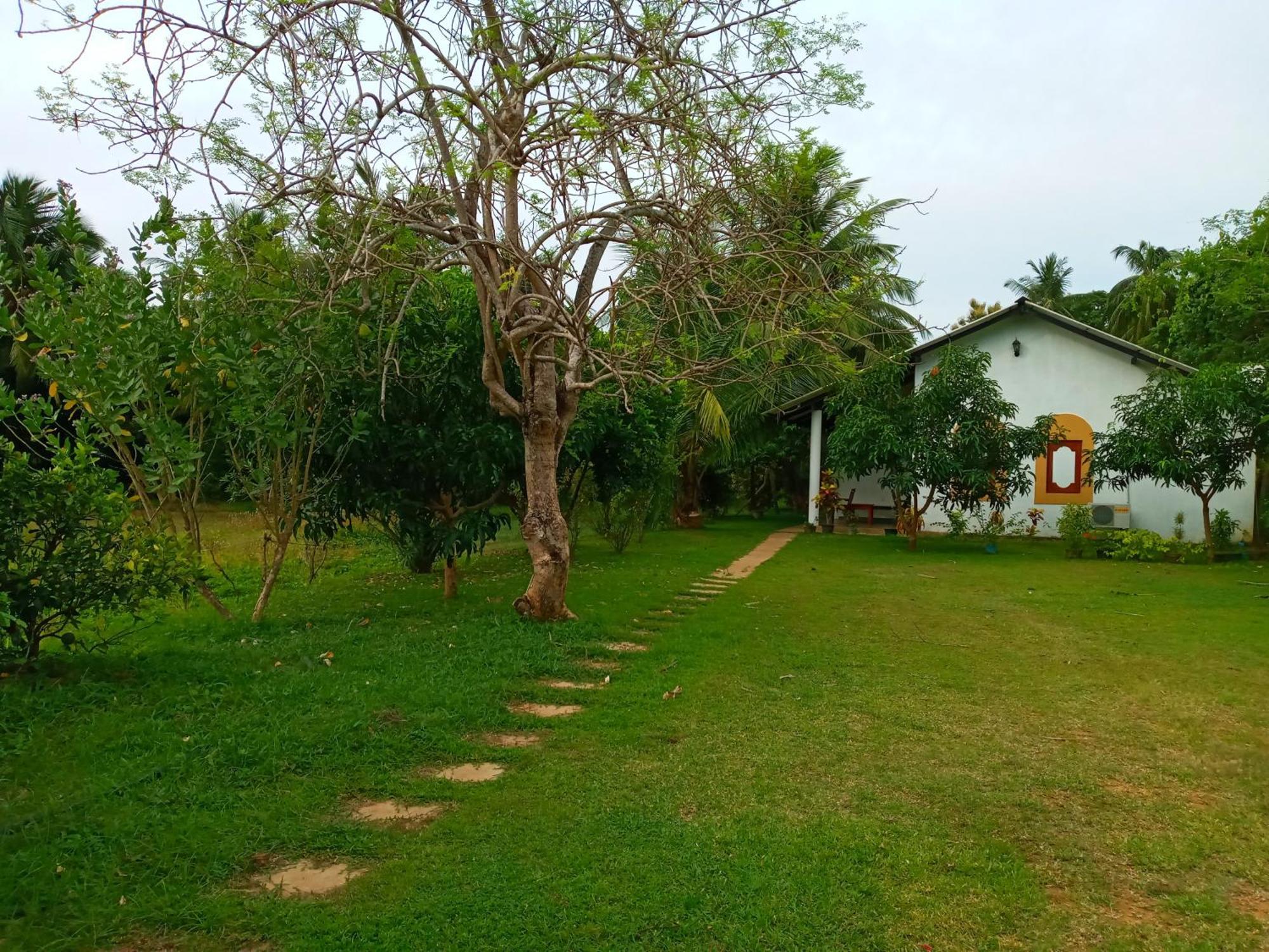 Hideaway Homestay Habarana Exteriér fotografie