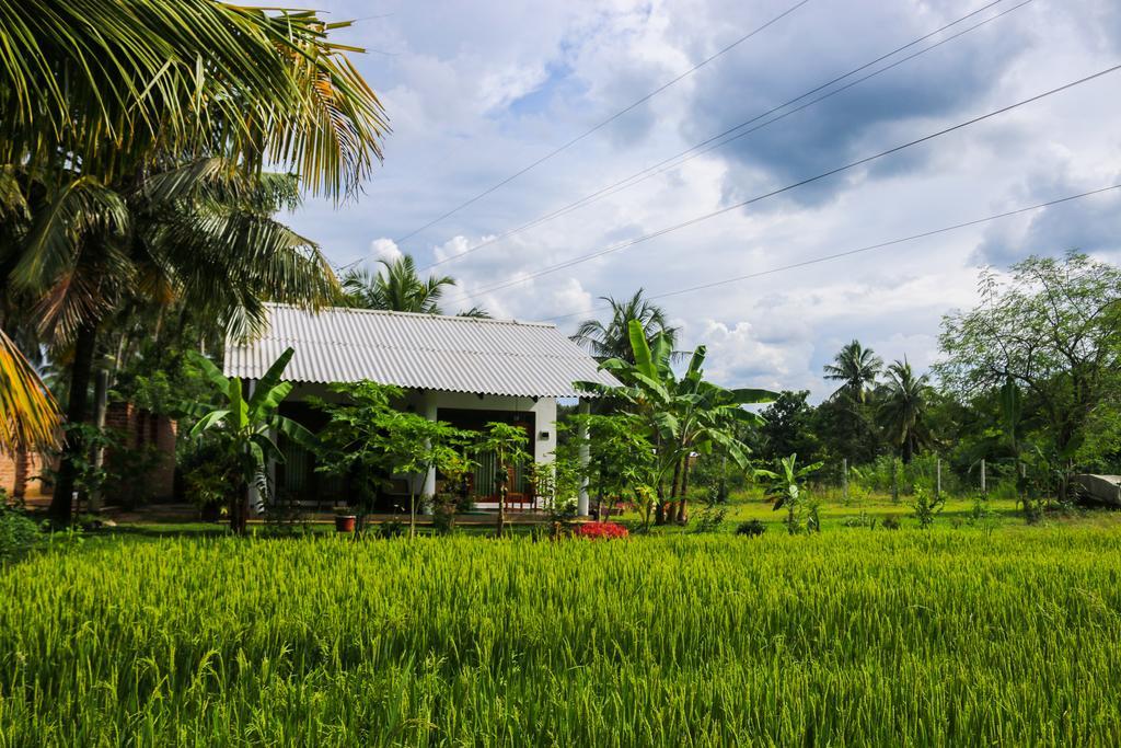 Hideaway Homestay Habarana Exteriér fotografie